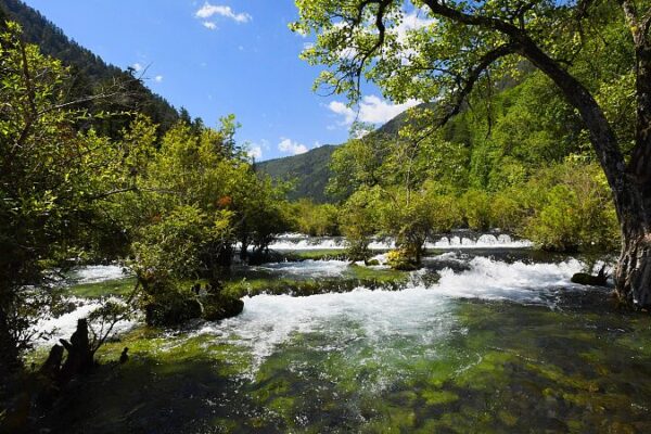 Discover the Serene Beauty of Shuzheng Valley in Jiuzhaigou 🌄✨ Discover_the_Serene_Beauty_of_Shuzheng_Valley_in_Jiuzhaigou___ video poster
