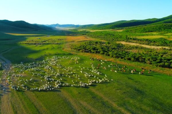 Discover the Vibrant Nomadic Culture of Ar Horqin Grassland 🌾🏕️ Discover_the_Vibrant_Nomadic_Culture_of_Ar_Horqin_Grassland____ video poster