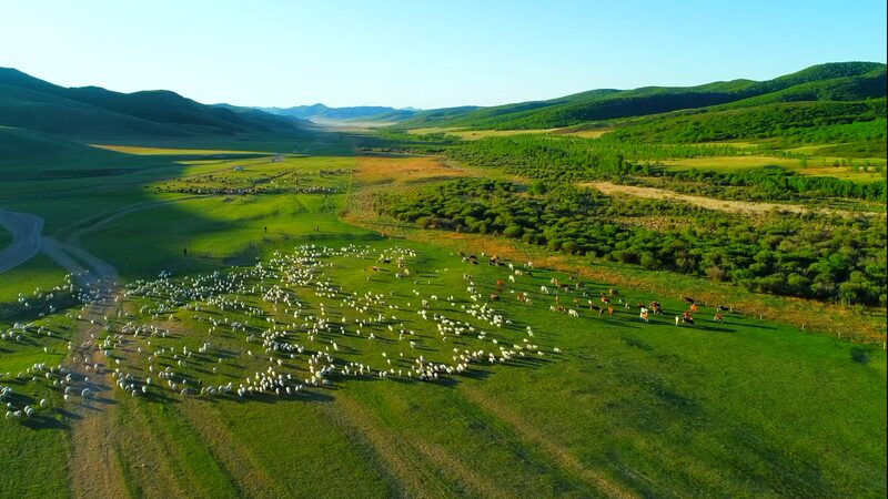 Discover_the_Vibrant_Nomadic_Culture_of_Ar_Horqin_Grassland_____poster - 🌍NewspaperAmigo – Your Global News Buddy 🗞️ Discover_the_Vibrant_Nomadic_Culture_of_Ar_Horqin_Grassland____ video poster