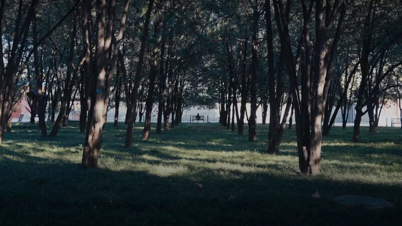 ___Ditan_Park_s__Golden_Key__Unlocks_Magical_Seaside_in_Beijing_ video poster