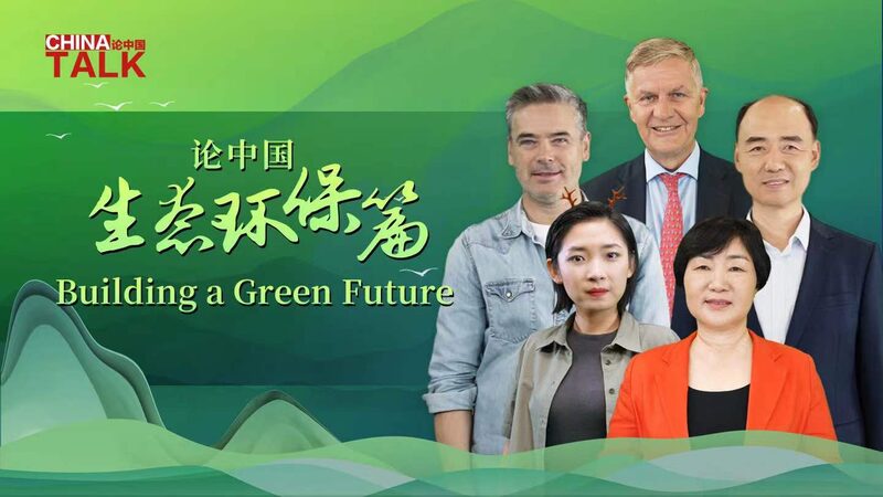 __Dive_into_China_Talk__Building_a_Green_Future_ video poster