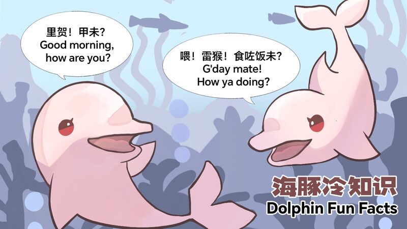 Dolphin_Tales__CGTN_s_Comic_Dive_into_Marine_Conservation___