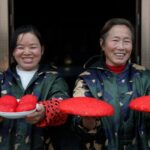 Dong_People_Celebrate_Chinese_New_Year_with_Festive_Hongba_Cakes___