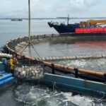 ___Donut_Shaped_Ocean_Farms_Boost_Sustainable_Aquaculture_in_China_ video poster