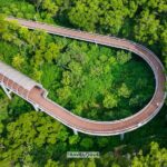 Dreamy_Hillside_Trail_Offers_Half_Marathon_Adventure_____