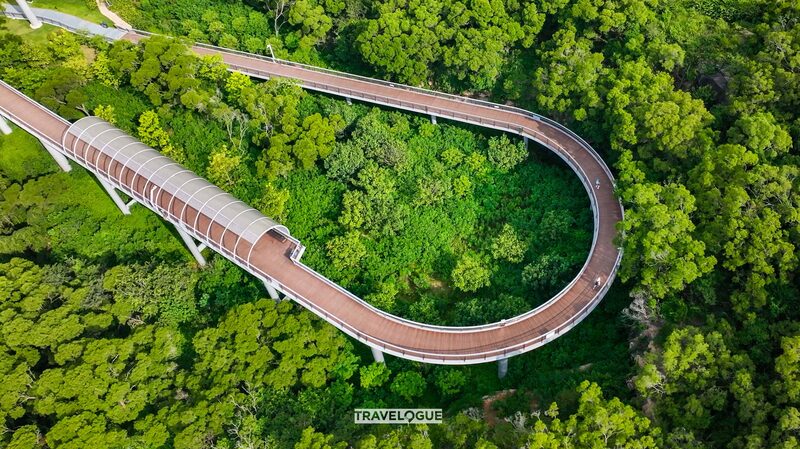 Dreamy_Hillside_Trail_Offers_Half_Marathon_Adventure_____ - 🌍NewspaperAmigo – Your Global News Buddy 🗞️ Dreamy_Hillside_Trail_Offers_Half_Marathon_Adventure_____