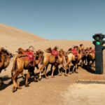 Dunhuang_s_Camels_Take_the_Lead_with_Unique_Traffic_Signals___ video poster