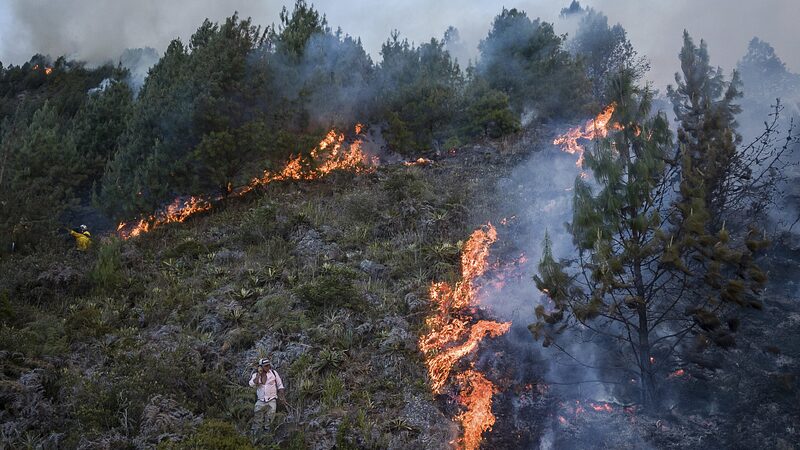 Earth Hits Record: 12 Months Above 1.5°C 🌡️🌍 Earth_Hits_Record__12_Months_Above_1_5_C____