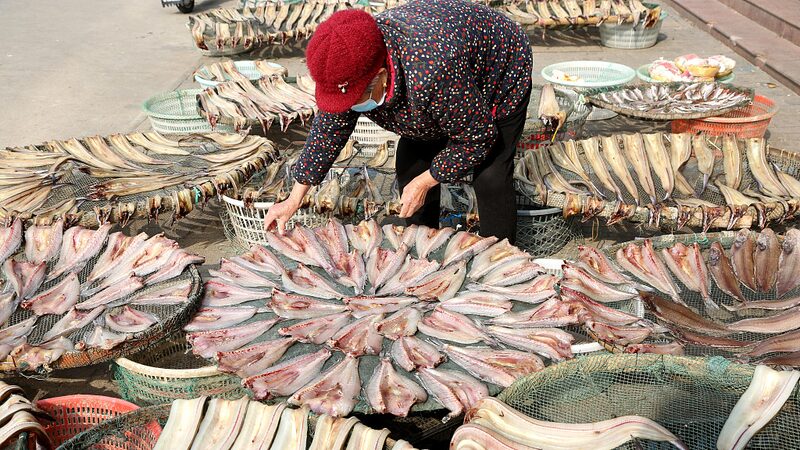 East_China_Fishermen_Reap_Winter_s_Bounty___