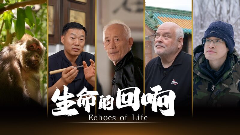 Echoes_of_Life__Showcases_Five_Unique_Tales_of_Passion___Perseverance_poster - 🌍NewspaperAmigo – Your Global News Buddy 🗞️ ____Echoes_of_Life__Showcases_Five_Unique_Tales_of_Passion___Perseverance video poster