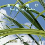 Empowering_India_s_Sugarcane_Farmers_with_Smart_Techniques___ video poster