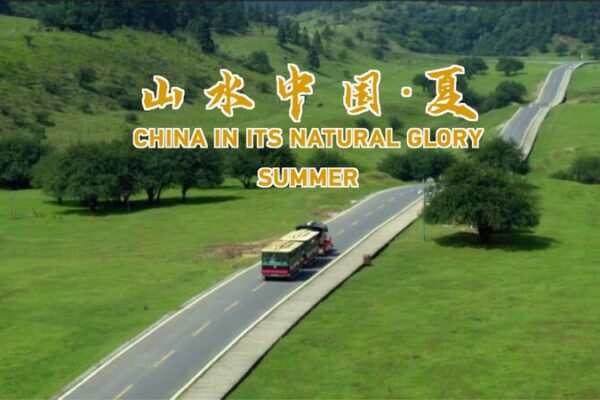 Escape the Heat: Cool Summer Adventures at Chongqing’s Fairy Mountain ☀️🌲 Escape_the_Heat__Cool_Summer_Adventures_at_Chongqing_s_Fairy_Mountain____ video poster
