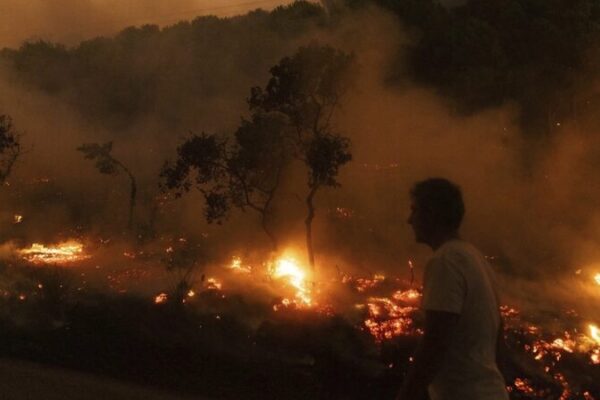 Europe Faces Rising Extreme Climate Events, EEA Sounds Alarm 🌍🔥 Europe_Faces_Rising_Extreme_Climate_Events__EEA_Sounds_Alarm___