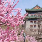 Experience_Spring_s_Magic__Top_Blossoming_Spots_Across_the_Chinese_Mainland___ video poster