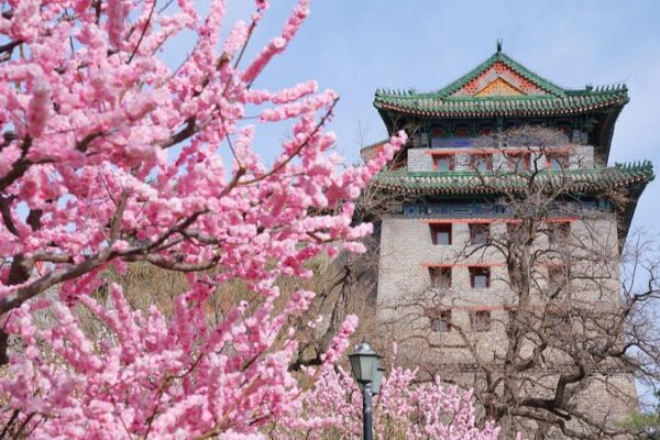 Experience Spring’s Magic: Top Blossoming Spots Across the Chinese Mainland 🌸✨ Experience_Spring_s_Magic__Top_Blossoming_Spots_Across_the_Chinese_Mainland___ video poster