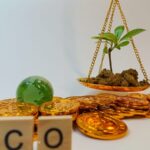 Experts_Urge_Caution_as_Chinese_Courts_Consider_Carbon_Credits_for_Logging_Offenders____