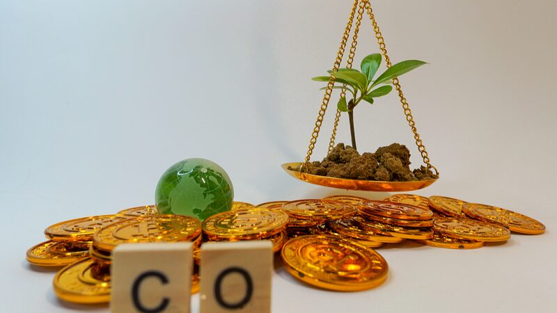 Experts_Urge_Caution_as_Chinese_Courts_Consider_Carbon_Credits_for_Logging_Offenders____