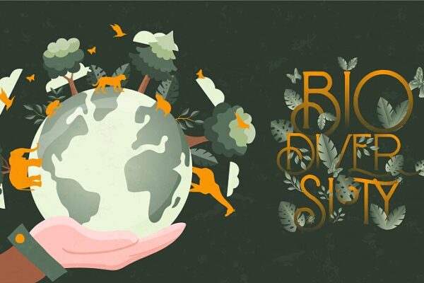Explore China’s Biodiversity Wonders on IDB 2024 🌿🐼 Explore_China_s_Biodiversity_Wonders_on_IDB_2024___ video poster