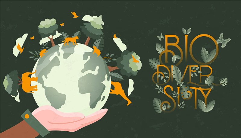 Explore_China_s_Biodiversity_Wonders_on_IDB_2024____poster - 🌍NewspaperAmigo – Your Global News Buddy 🗞️ Explore_China_s_Biodiversity_Wonders_on_IDB_2024___ video poster