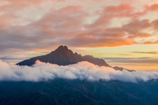 Explore Hainan’s Wuzhi Mountain: Nature’s Majestic Five-Finger Peak 🌄 Explore_Hainan_s_Wuzhi_Mountain__Nature_s_Majestic_Five_Finger_Peak__ video poster