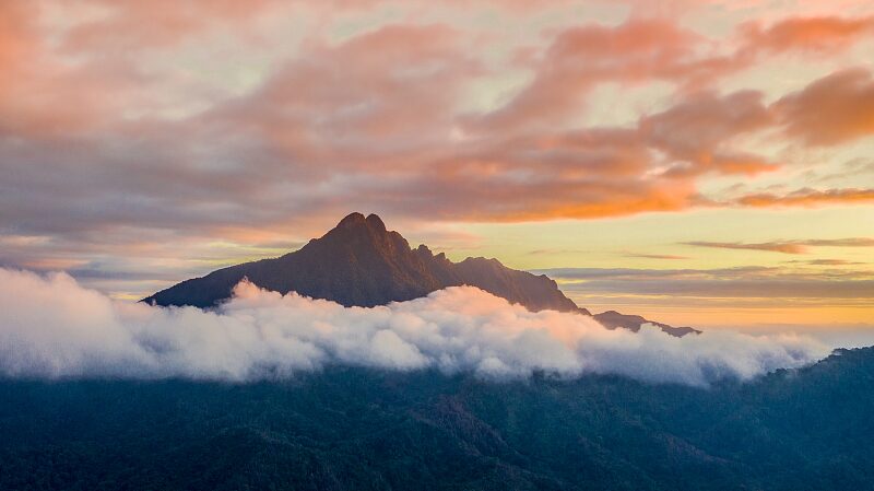 Explore_Hainan_s_Wuzhi_Mountain__Nature_s_Majestic_Five_Finger_Peak___poster - 🌍NewspaperAmigo – Your Global News Buddy 🗞️ Explore_Hainan_s_Wuzhi_Mountain__Nature_s_Majestic_Five_Finger_Peak__ video poster