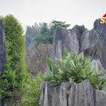 Explore_Shenjian_Stone_Forest__Guangxi_s_Karst_Wonder___ video poster