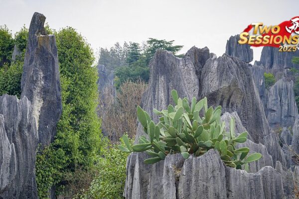 Explore Shenjian Stone Forest: Guangxi’s Karst Wonder 🌄✨ Explore_Shenjian_Stone_Forest__Guangxi_s_Karst_Wonder___ video poster