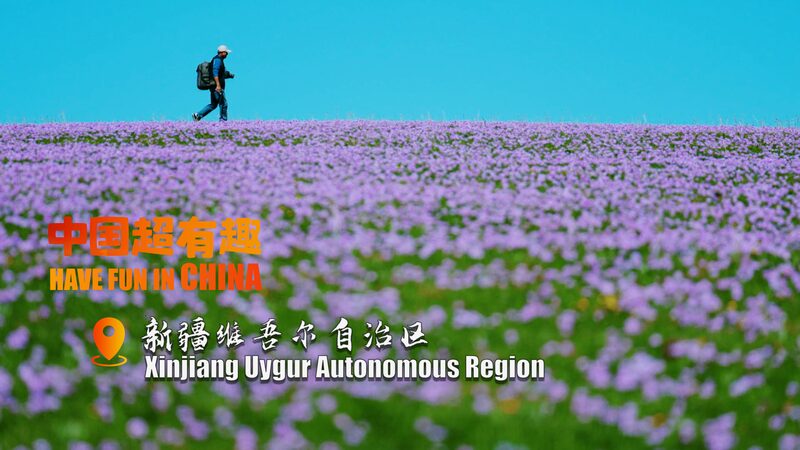 Explore the Spectacular Kalajun Grasslands: A Photographer’s Paradise 🌸📸 Explore_the_Spectacular_Kalajun_Grasslands__A_Photographer_s_Paradise___ video poster