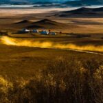 Explore_the_Stunning_Autumn_Grasslands_of_Saihanba_Plateau___ video poster