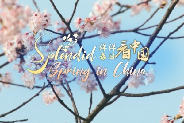 Exploring Fanjingshan: Brahma’s Pure Land Blossoms This Spring in China 🌸🏞️ Exploring_Fanjingshan__Brahma_s_Pure_Land_Blossoms_This_Spring_in_China____ video poster