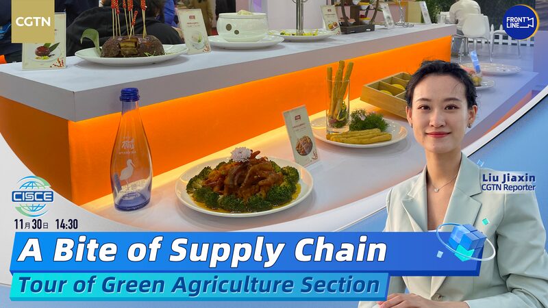 Exploring Green Agriculture: Inside China’s Supply Chain Expo 🌱🚜 Exploring_Green_Agriculture__Inside_China_s_Supply_Chain_Expo___ video poster