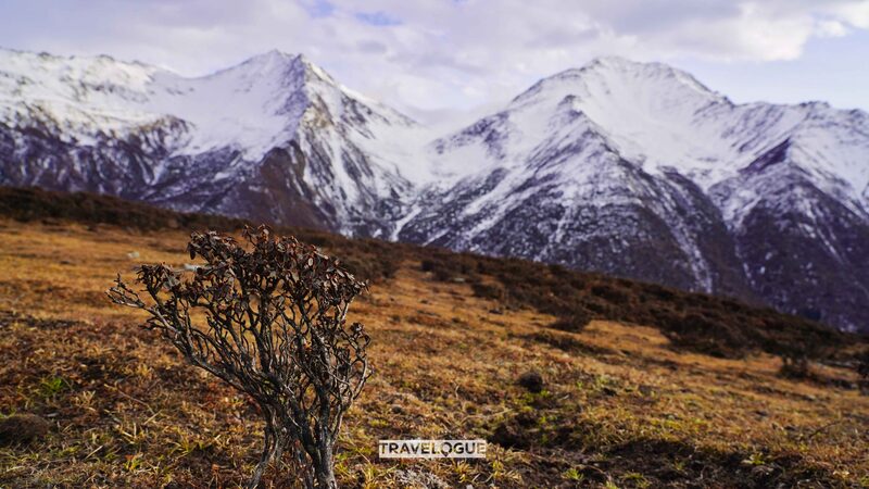 Exploring_the_Primeval_Wonders_of_China_s_Mount_Sigu_niang___
