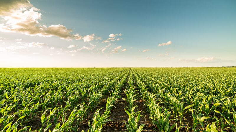 Extreme_Weather_Threatens_NZ_Farming__Climate_Crisis_Looms___