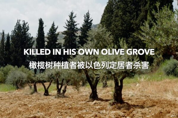 Farmer’s Legacy Cut Short in Olive Grove Tragedy πΏπ Farmer_s_Legacy_Cut_Short_in_Olive_Grove_Tragedy___ video poster