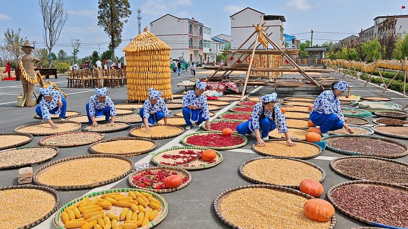 Farmers_Celebrate_Bumper_Harvests_as_China_Marks_7th_Farmers__Festival___ - 🌍NewspaperAmigo – Your Global News Buddy 🗞️ Farmers_Celebrate_Bumper_Harvests_as_China_Marks_7th_Farmers__Festival___