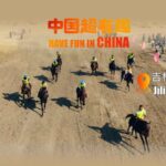 Flame_s_Weight_Loss_Journey__The_Race_Horse_That_Must_Lose_to_Win___ video poster