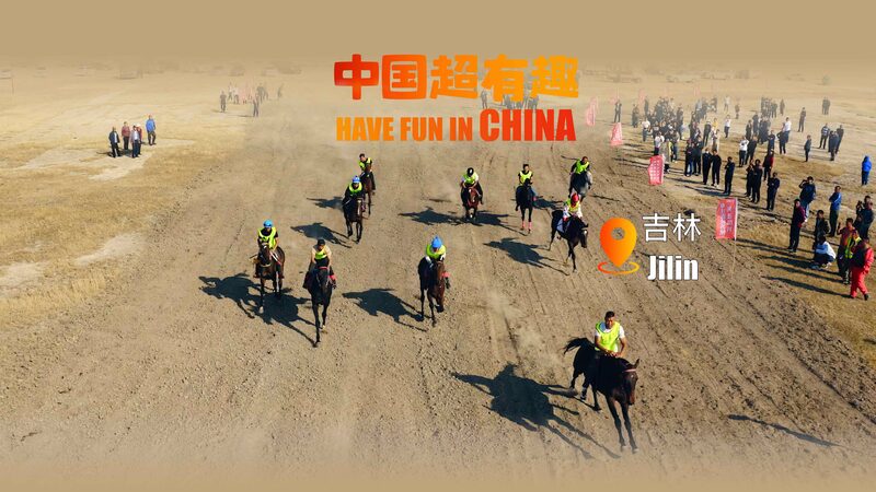 Flame_s_Weight_Loss_Journey__The_Race_Horse_That_Must_Lose_to_Win____poster - 🌍NewspaperAmigo – Your Global News Buddy 🗞️ Flame_s_Weight_Loss_Journey__The_Race_Horse_That_Must_Lose_to_Win___ video poster