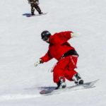 Floral_Flair__Northeast_China_s_Style_Blooms_on_Changbai_Mountain_Slopes___ video poster