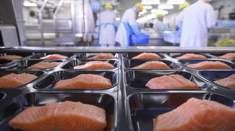 Food_Packaging_Chemicals_Found_in_Humans__Study_Raises_Alarms____