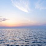 Fossil_Fuels_Threaten__Amazon_of_the_Seas___Coral_Triangle_at_Risk___