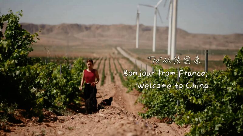 French_Winemaker_Finds_New_Roots_in_China_s_Ningxia___ video poster