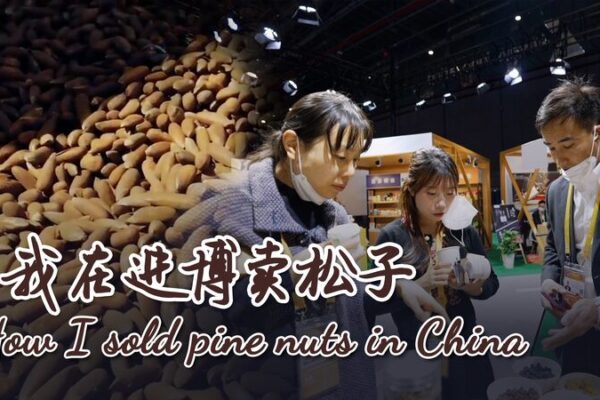 From Afghanistan to China: The Pine Nut Success Story 🌲🇨🇳 From_Afghanistan_to_China__The_Pine_Nut_Success_Story____ video poster