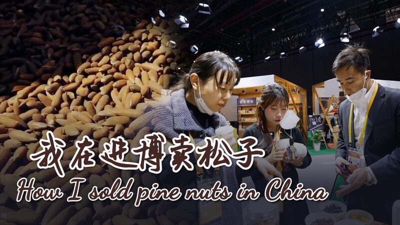From_Afghanistan_to_China__The_Pine_Nut_Success_Story_____poster - 🌍NewspaperAmigo – Your Global News Buddy 🗞️ From_Afghanistan_to_China__The_Pine_Nut_Success_Story____ video poster