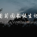 From_Barren_Land_to_Vineyard_Queen__A_Story_of_Resilience_in_Ningxia___ video poster