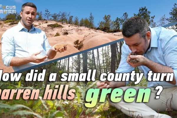 From Barren to Blooming 🌱 How Changting Transformed Its Hills From_Barren_to_Blooming___How_Changting_Transformed_Its_Hills video poster