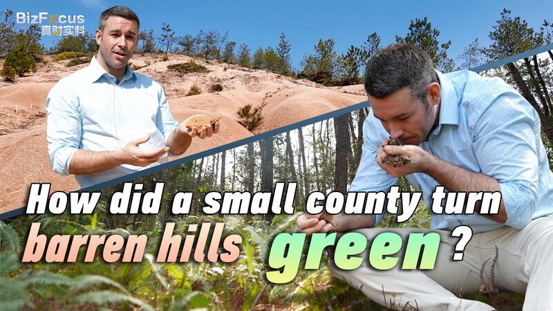From_Barren_to_Blooming___How_Changting_Transformed_Its_Hills_poster - 🌍NewspaperAmigo – Your Global News Buddy 🗞️ From_Barren_to_Blooming___How_Changting_Transformed_Its_Hills video poster