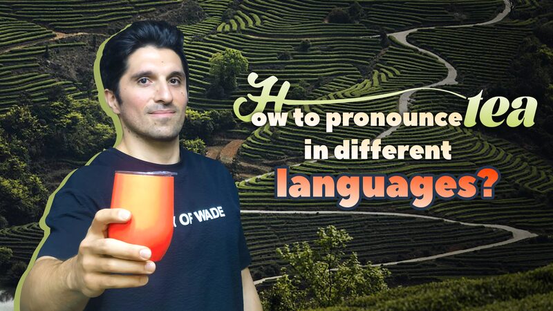 From_Cha_to_Chai__How_Tea_s_Name_Traveled_the_World____poster - 🌍NewspaperAmigo – Your Global News Buddy 🗞️ From_Cha_to_Chai__How_Tea_s_Name_Traveled_the_World___ video poster