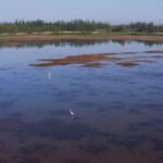 From_Desert_to_Oasis__Ningxia_s_Haba_Lake_Blossoms_into_a_Green_Miracle___ video poster