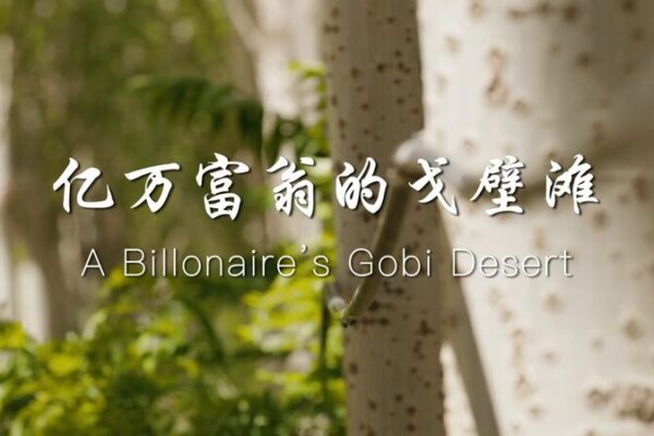 From Desert to Vineyard: A Billionaire’s Eco-Journey 🌱🍇 From_Desert_to_Vineyard__A_Billionaire_s_Eco_Journey___ video poster