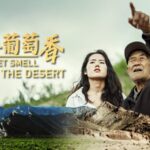 From_Desert_to_Vineyard__Ningxia_s_Green_Miracle___ video poster